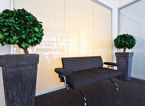 Smart Privacy Glass
